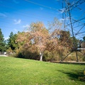 Johny Carson Park, Burbank CA