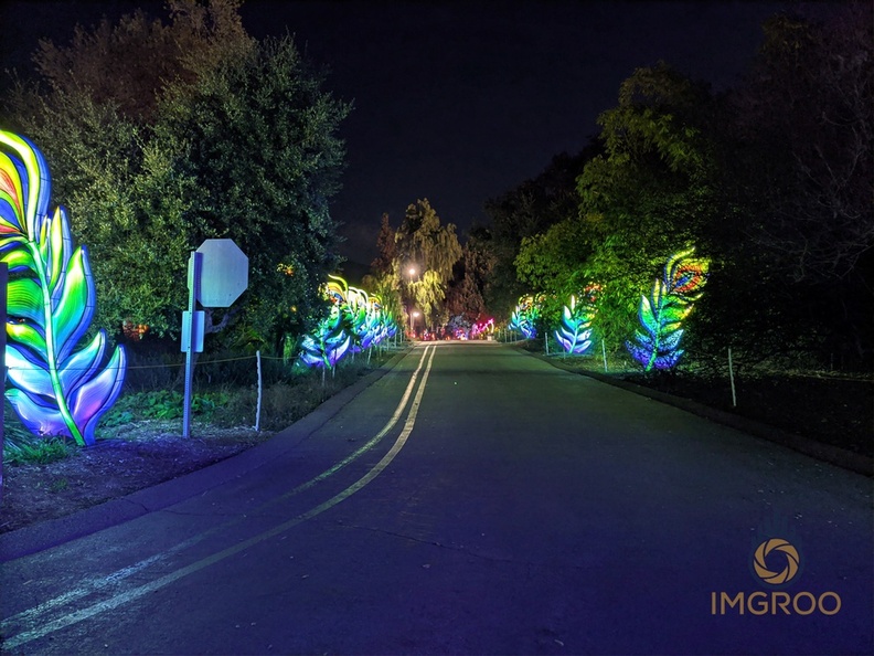 Moonlight Forest at The Arboretum in Arcadia CA-IMG_20200109_180045.jpg