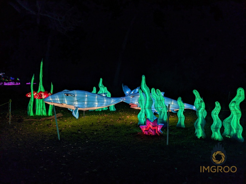 Moonlight Forest at The Arboretum in Arcadia CA-IMG_20200109_182905.jpg